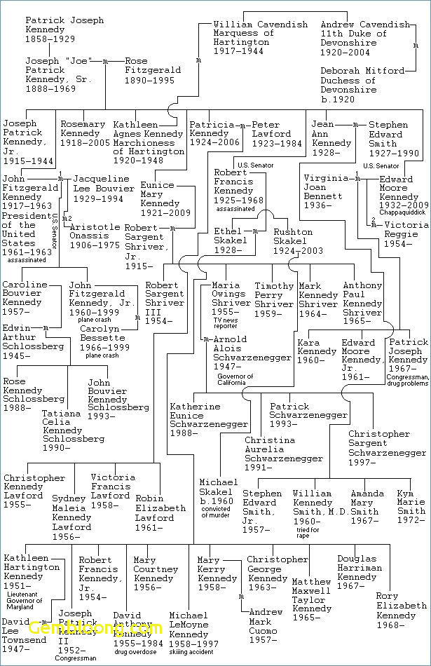 pool tree beautiful a e a how to plete a tree diagram elegant index pool 0 0d astonishing