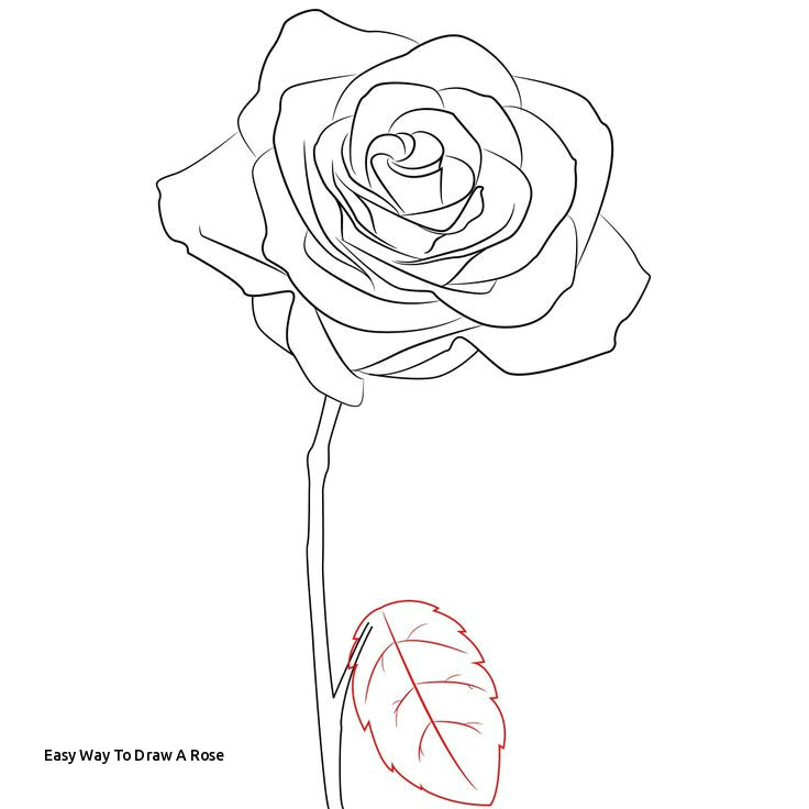 easy way to draw a rose 12 best pencil drawings images on pinterest of easy way