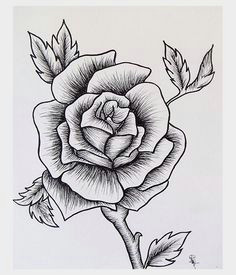 rose sketch easy