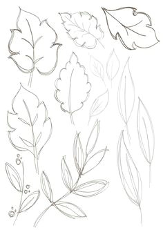bobbie print floral drawings leaf drawing floral drawing nature drawing painting