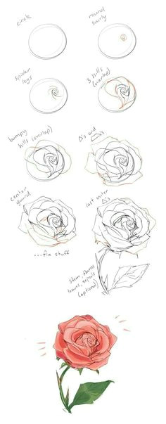 how to draw a rose tutorial by cherrimut on tumblr
