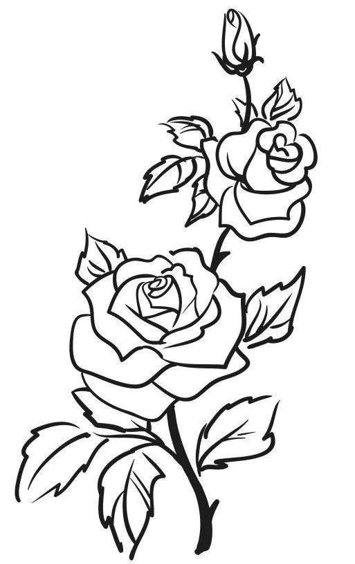 rose outline drawing outline art rose drawing simple rose outline tattoo rose