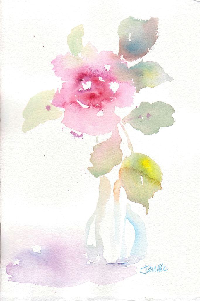 faded rose quick watercolor warmup sketch by janis mcelmurry