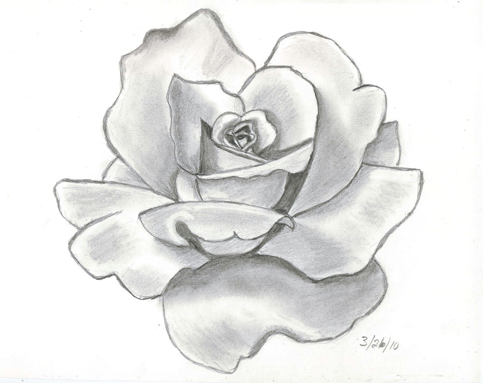 61 best art pencil drawings of flowers images pencil drawings pencil drawings of flowers pencil art