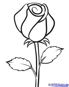 how to draw morning glory flower step by step drawing tutorial do you want to learn