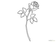 rose step by step youtube drawing realistic rose online images sketching art drawings draw sketches drawings
