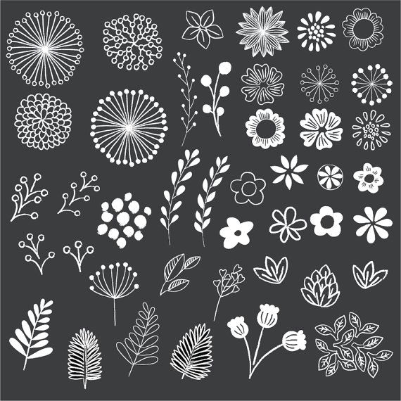 chalkboard floral elements clip art set by birdiydesign