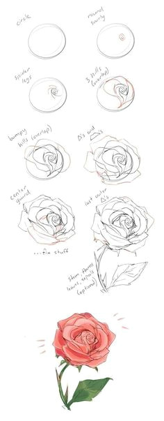 how to draw roses kalligraphie blumen zeichnen ideen furs zeichnen maltechniken malerei