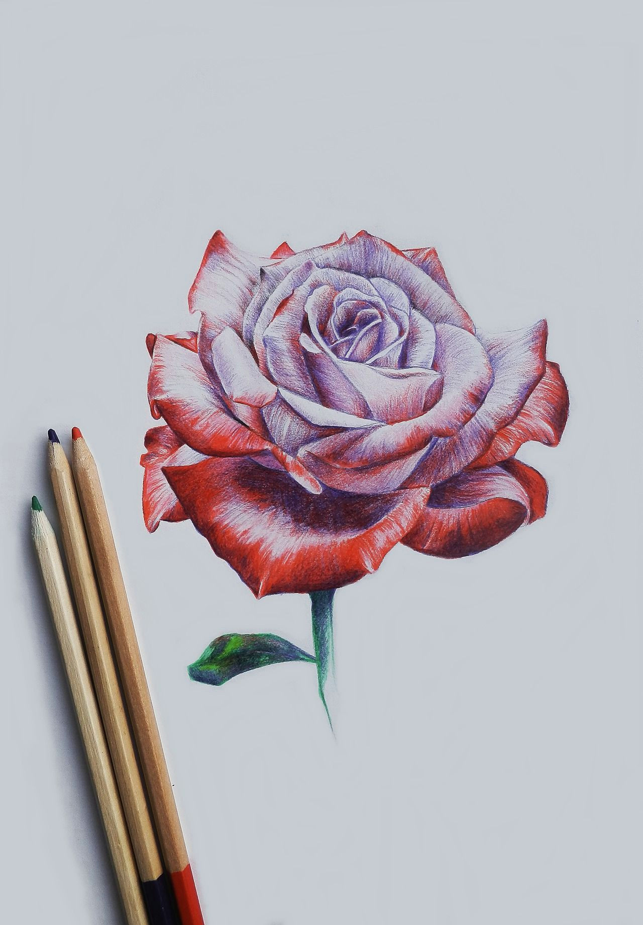 Draw A Rose with Chalk Drawing Rose Cool Art Pinterest Drawings Pencil Drawings and