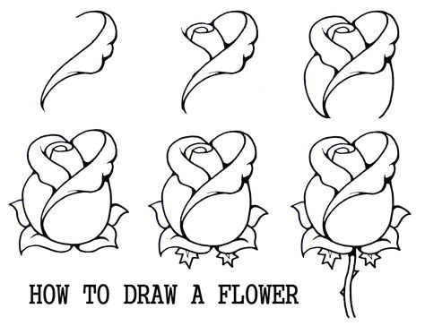 collection of thousands of free rose drawing page from all over the world