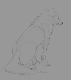 Draw A Sitting Wolf Die 457 Besten Bilder Von Wolfs Ideas for Drawing Sketches Of