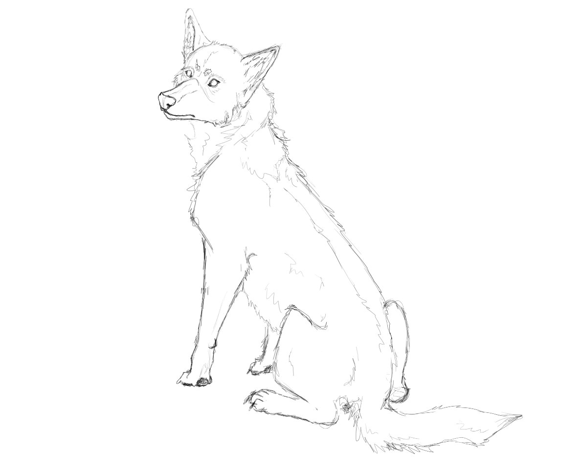 Draw A Sitting Wolf Wolf Sitting Wip Weasyl