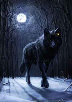 wolf tier wolf fantasy wolf wolf moon wolf spirit werewolves wolf