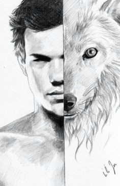 awesome taylor lautner wolf drawing jacob black twilight twilight wolf twilight movie