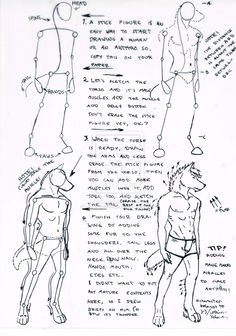 male wolf furry tutorial sketches tutorial drawing tutorials drawing techniques art tutorials