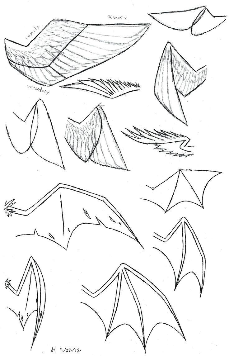 how to draw anime wolf ears and tail google search more