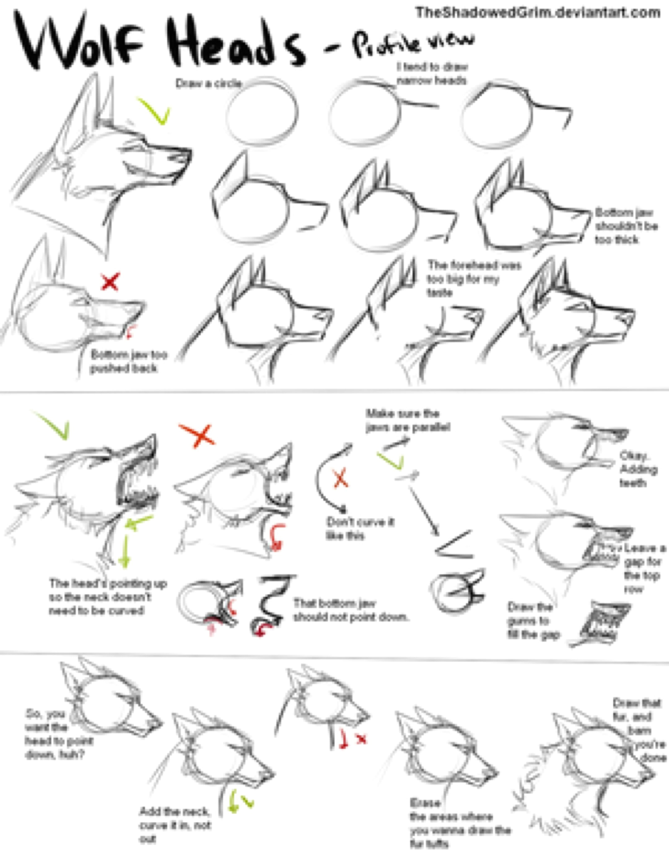how i draw wolf heads by theshadowedgrim on deviantart