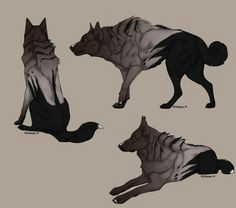 animal drawings art drawings character art character design demon wolf anime