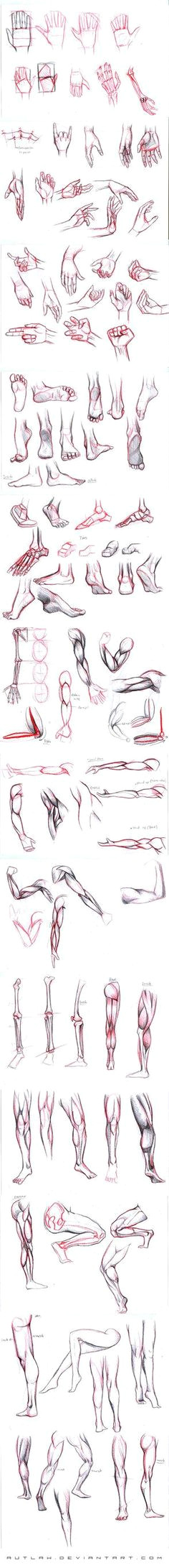 studies part 2 drawing handsdrawings
