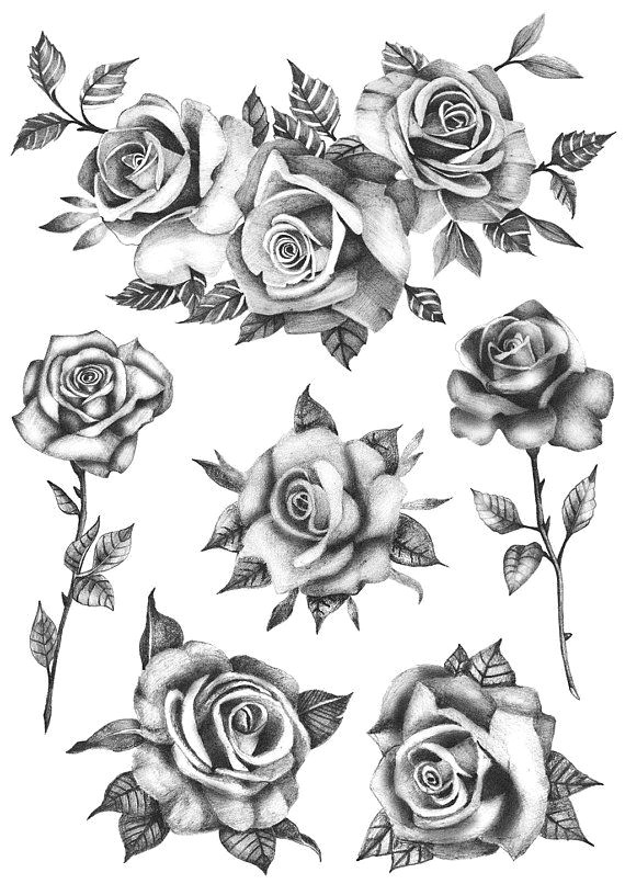 roses flower set set of 6 temporary tattoo realistic roses tattoo roses tattoo flowers tat products pinterest tattoos rose tattoos and