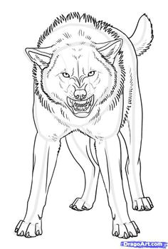 how to draw an angry wolf anime wolf drawing fox drawing