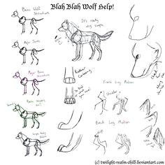 a simple guide to drawing wolves by twilight realm child on deviantart i couldn t find the original page on the site so i just uploaded it original file