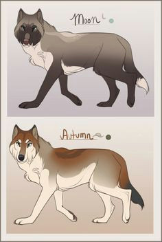 natural wolf adopts sold by tazihound on deviantart wolf name animal drawings