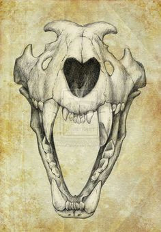 lion skull animal skull drawinganimal