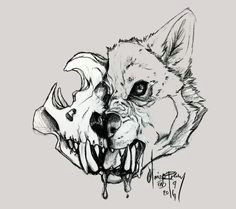 i c a r u s wolf head drawinganimal skull