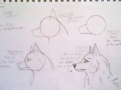 how to draw a cartoon wolf