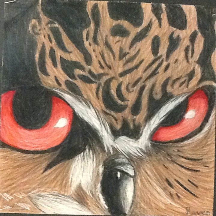 less talk more art a middle school art ed blog 7th grade owl drawings