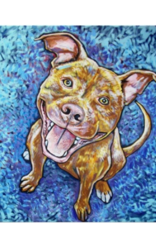 pitbull art