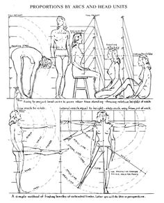 anatomi bayan 20 anatomy female 20 proportions by arcs and head units