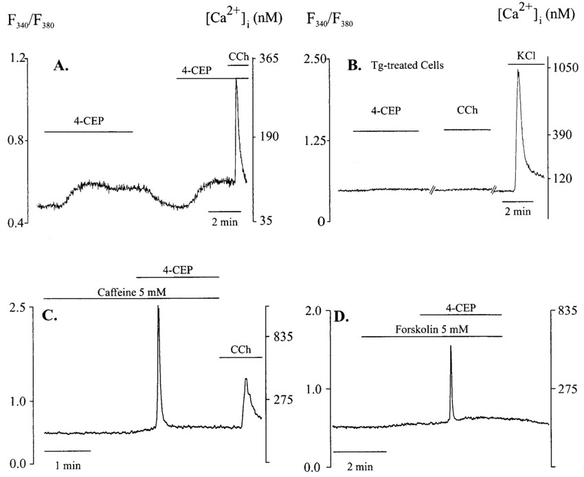 4 cep releases ca 2 from er in beta cells ca 2 i was measured in the presence of 1 28 mm ca o 2 a 4 cep 500 m induced a gradual increase in