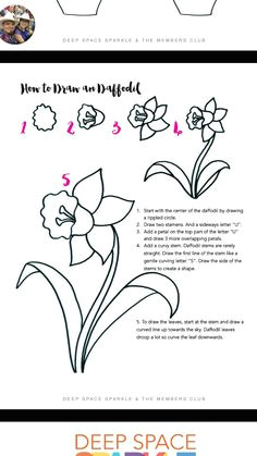 so by step how to draw daffodils flowers in a vase easter spring