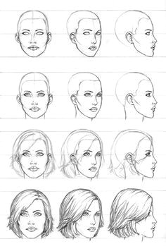 3 4 front view anatomy drawing female face drawing tutorial female head art color pencils on how to draw the head from any angles drawing human