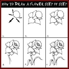 bildergebnis fur flower step by step drawing