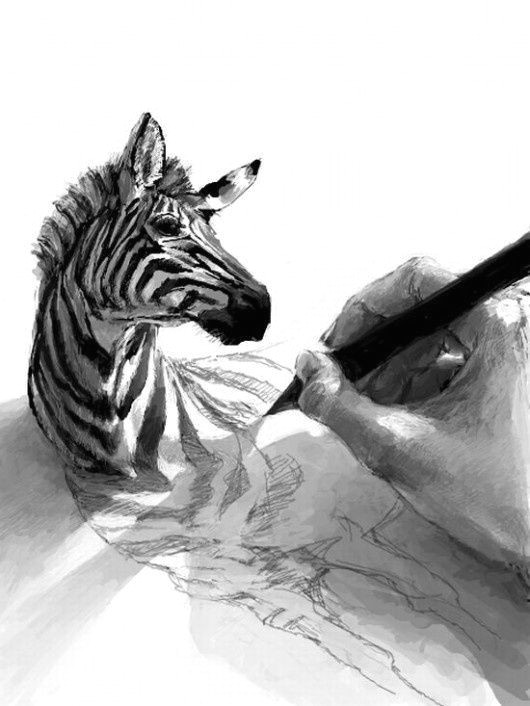 zebra drawing painting drawing 3d art drawing zebra painting drawing animals