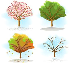 four seasons tree drawing same tree in different seasons free vector graphics weather seasons