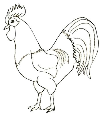 how to draw a rooster step 5