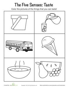 5 senses preschool printables things you can taste worksheet education com preschool