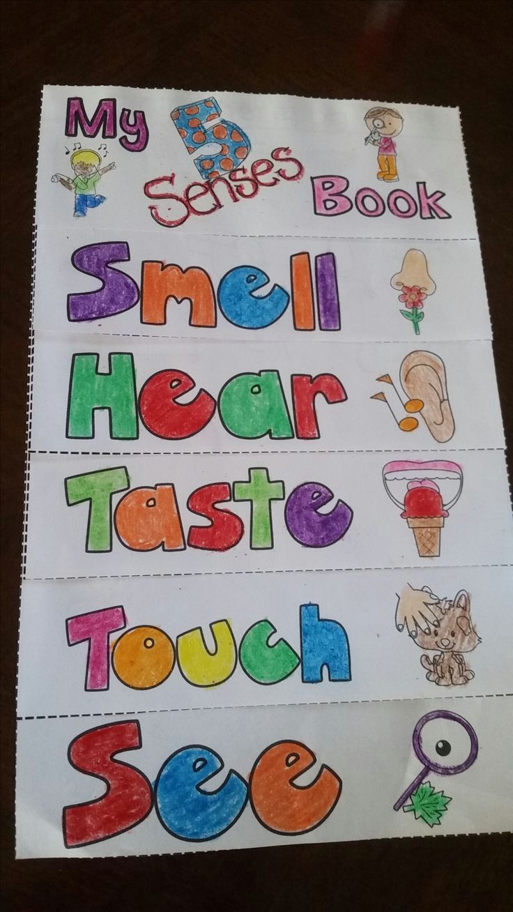 5 senses flip book color the items on each page that correspond to each 5
