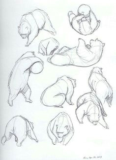 doodle drawing drawing art bear drawing drawing tips figure drawing animal