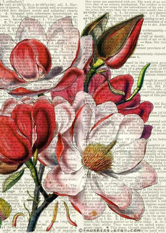 magnolia dictionary page print flower art drawing flower drawings flower paintings art drawings
