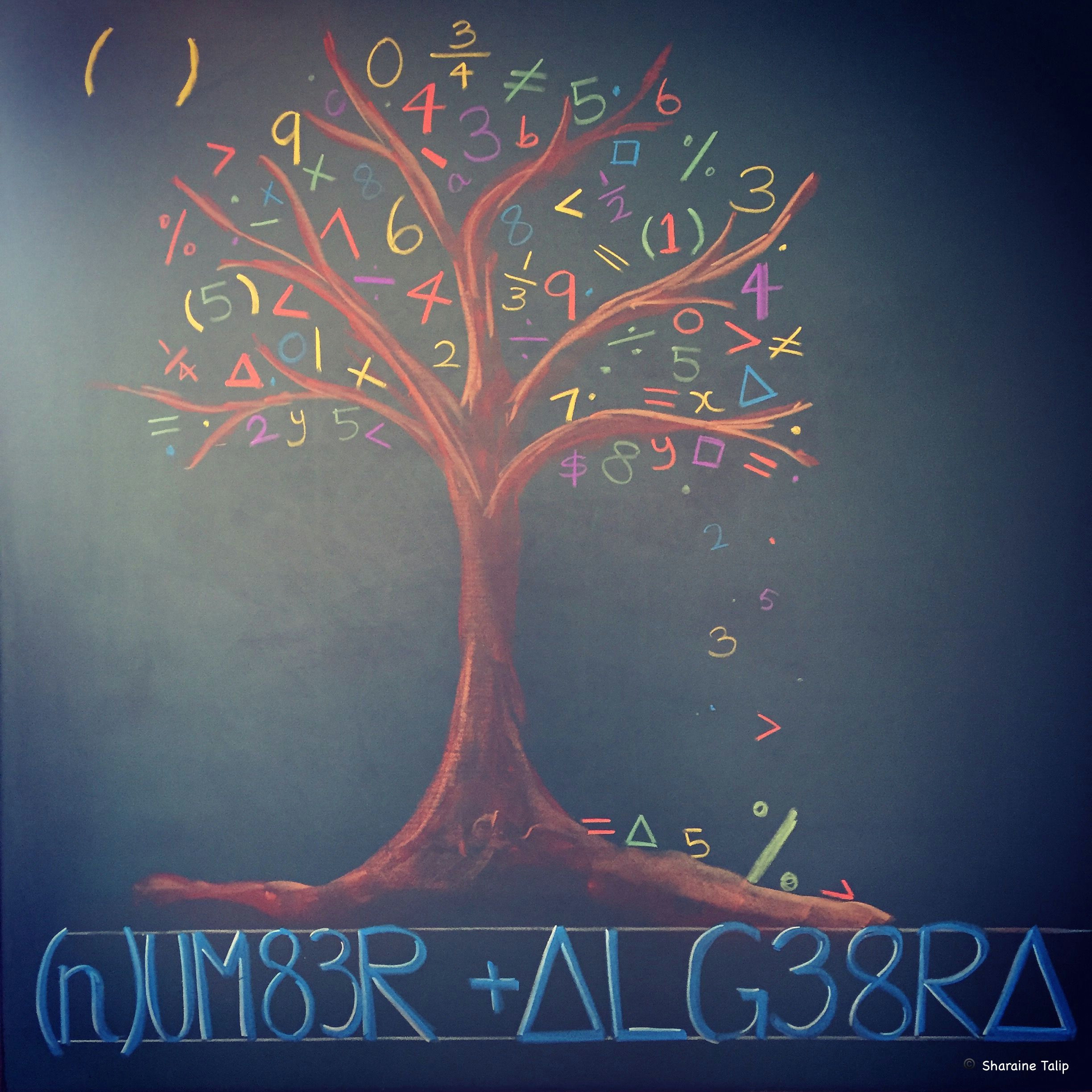 number algebra main lesson chalkboard drawing 6th grade waldorf steiner education