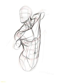 25 ordinary drawing anatomy for beginners