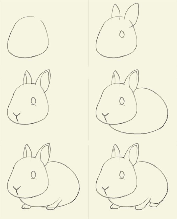 how to draw bunny learn to draw a cute bunny step by step images along with easy to follow instruction bunnies are small mammals found in several parts of