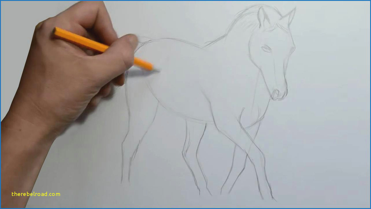 how to draw a horse step by step 1 horses pinterest types how to draw