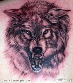 angry wolf tattoo google search