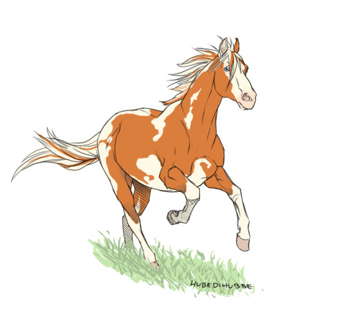 aerick horse